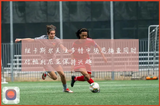 纽卡斯尔关注多特中场恩梅查同时对帕利尼亚保持兴趣